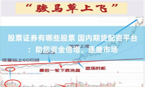 股票证券有哪些股票 国内期货配资平台：助您资金倍增，逐鹿市场